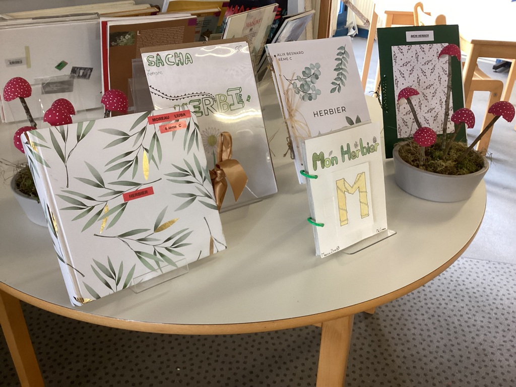 Consulter cet article